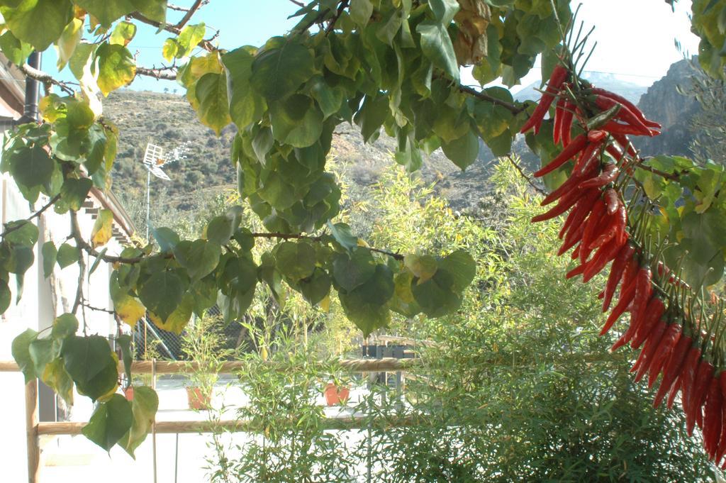 Cortijo Los Cahorros Sierra Nevada Monachil Bagian luar foto